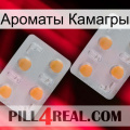 Ароматы Камагры 25